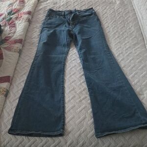 Classic Blue Flare Jeans